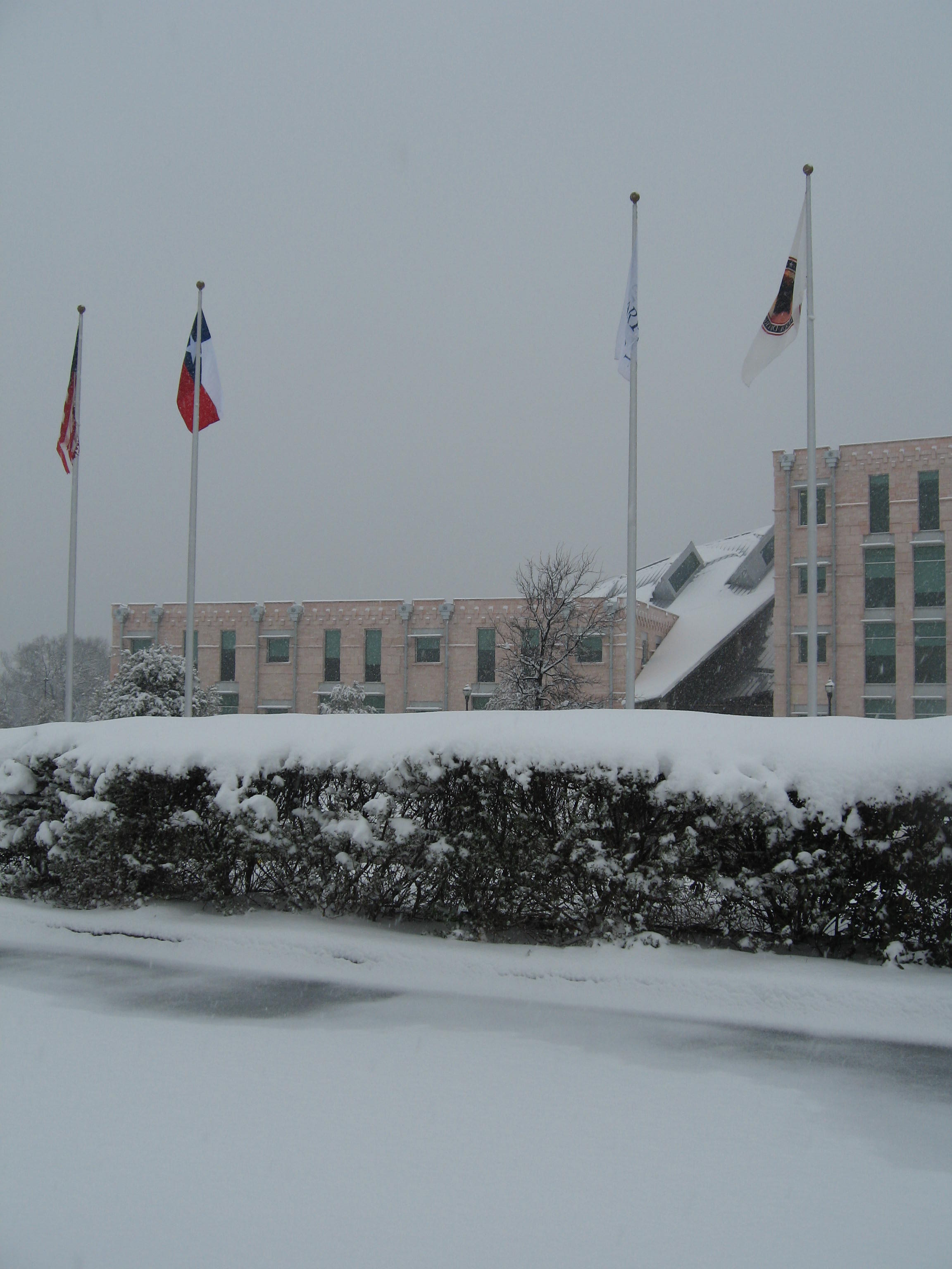 10.02.11 cedar hill snow scenes 033